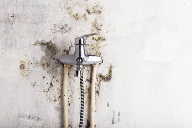 Best Water Damage Restoration  in Florence, CO