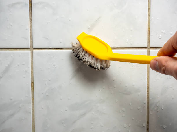Best Emergency Mold Removal  in Florence, CO