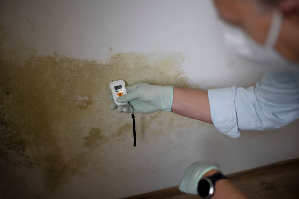 Best Crawl Space Mold Removal  in Florence, CO