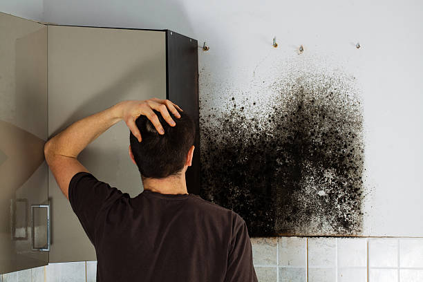 Crawl Space Mold Removal in Florence, CO